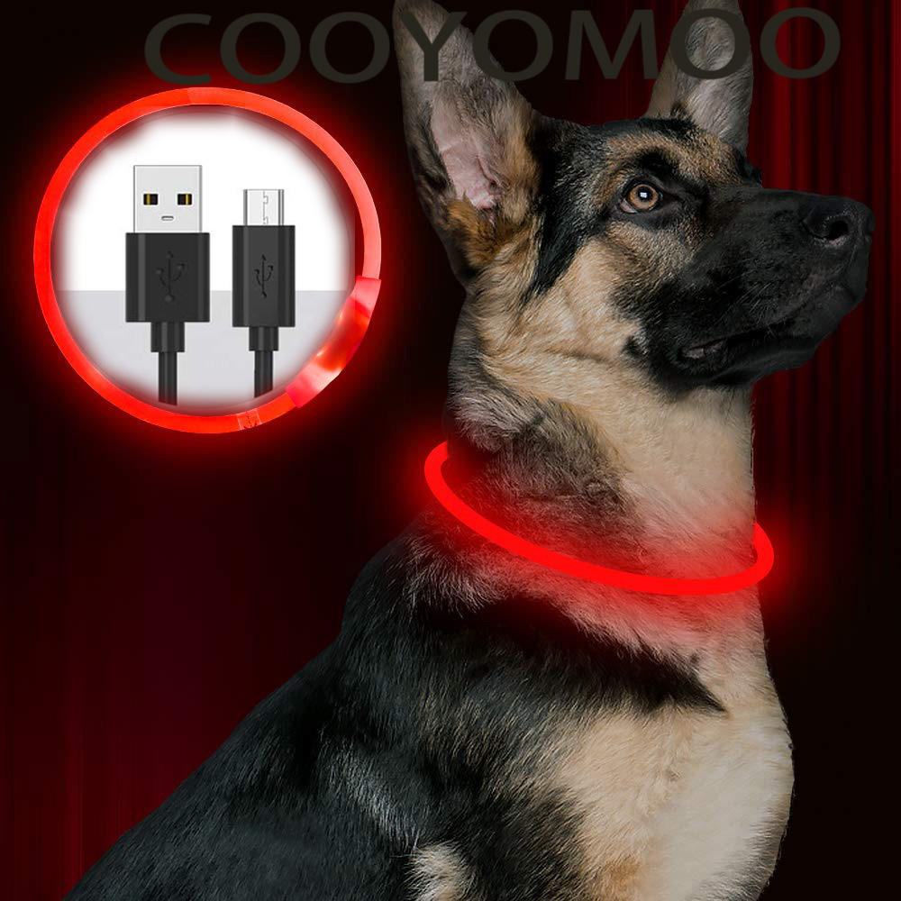 Tech Dog Accessories - 실리콘 LED 개 목걸이 충전식 4가지