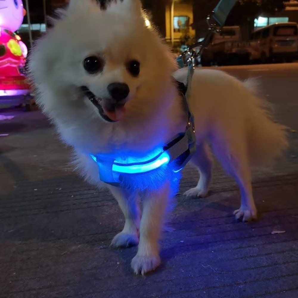 Tech Dog Accessories - 통기성 LED 애견 하네스 충전식 점멸