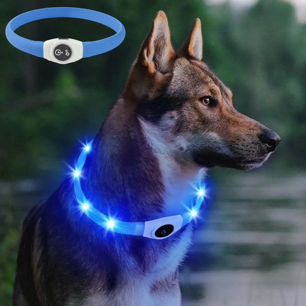 Tech Dog Accessories - 새로운 Led 빛나는 개 목걸이 PVC