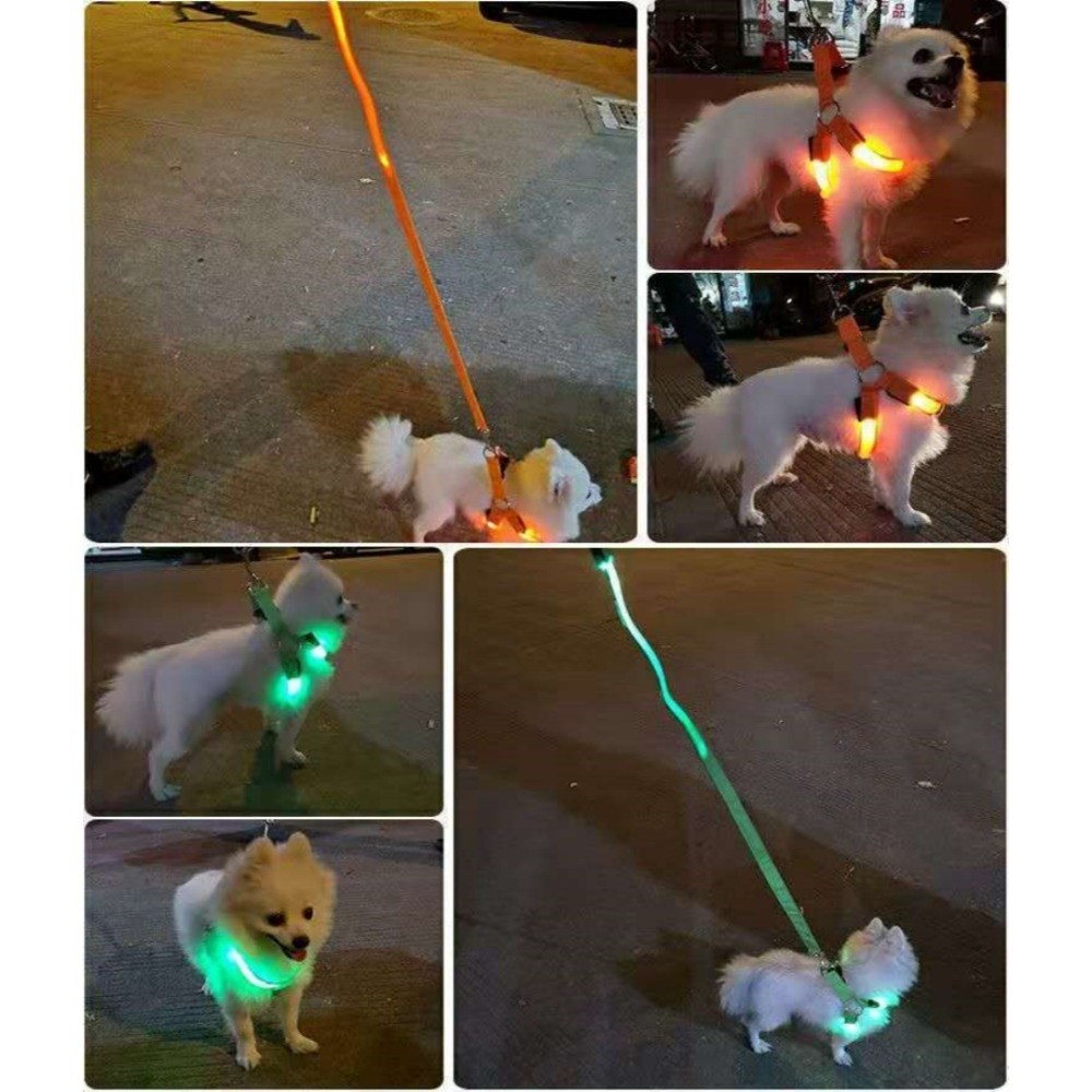 통기성 LED 애견 하네스 충전식 점멸 발광 애완견 가 - Tech Dog Accessories 리뷰 및 가격