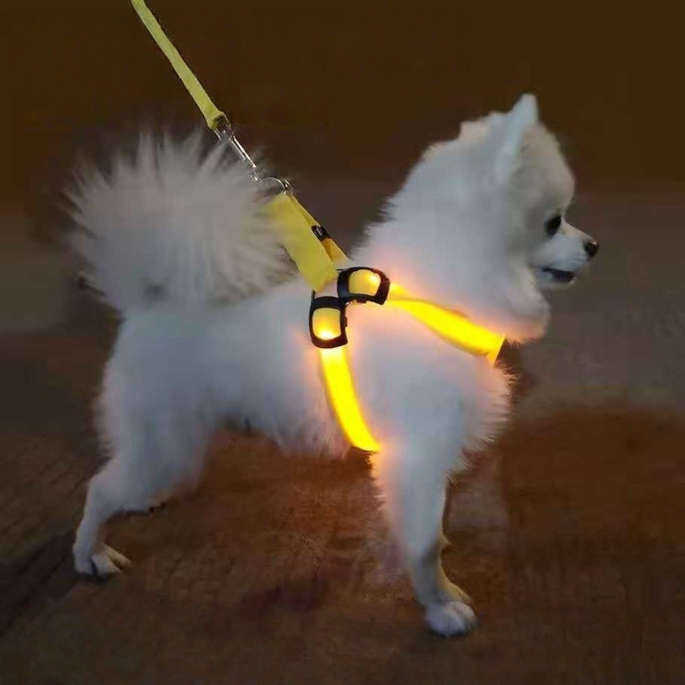 통기성 LED 애견 하네스 충전식 점멸 발광 애완견 가 - Tech Dog Accessories 리뷰 및 가격