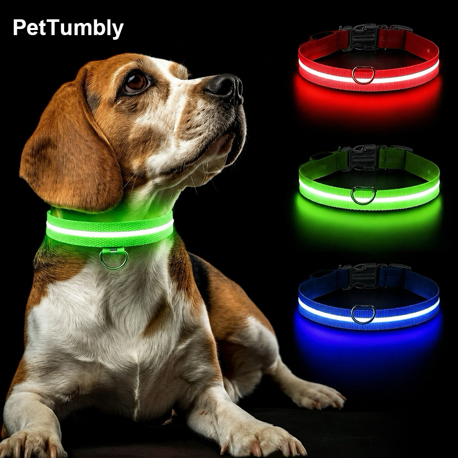 3가지 모드 애완견 발광 충전식 목줄 LED USB 고 - Tech Dog Accessories 리뷰 및 가격