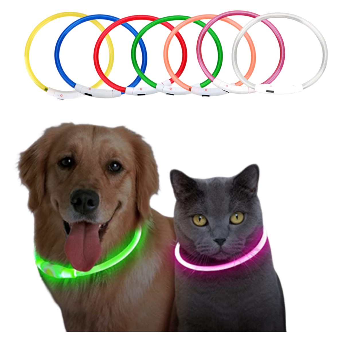 Led 라이트 개 목걸이 분리형 빛나는 USB 충전 큰 - Tech Dog Accessories 리뷰 및 가격