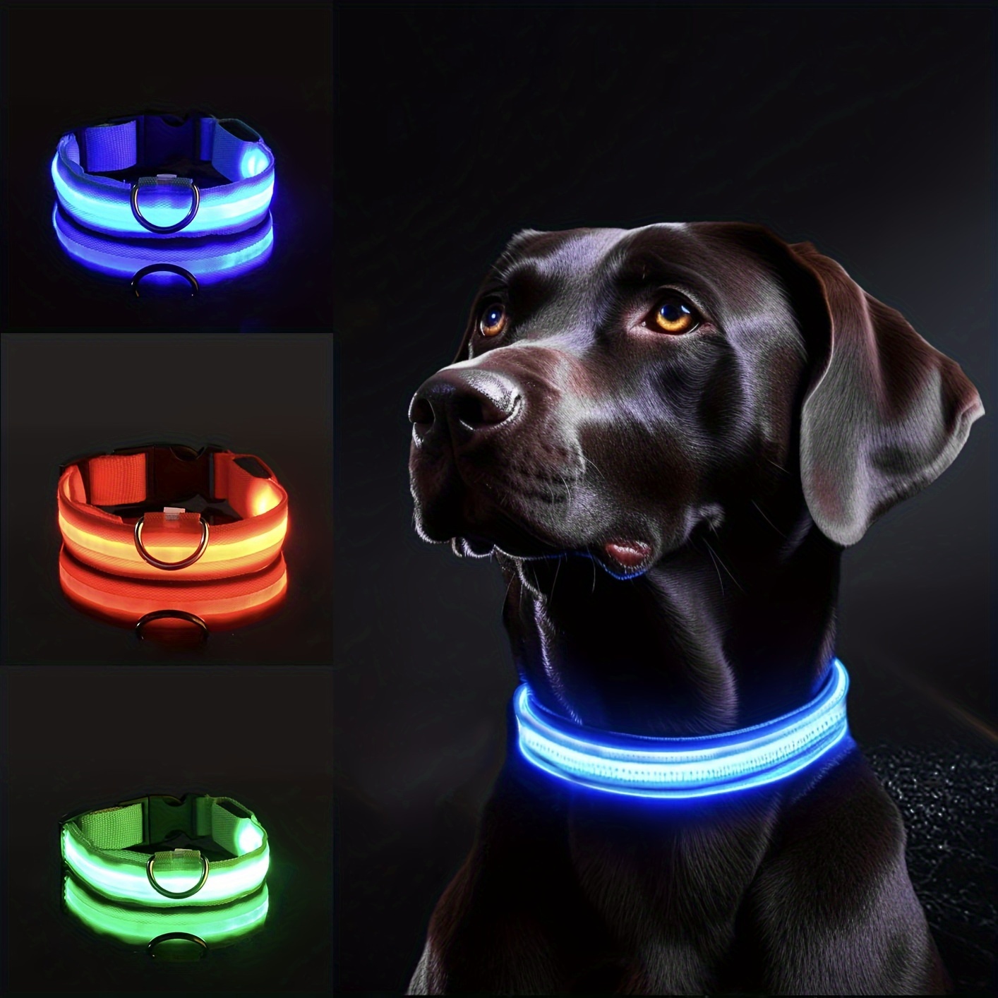 야간 안전을 위한 반사 LED 개 목걸이 - 내구성이  - Tech Dog Accessories 리뷰 및 가격